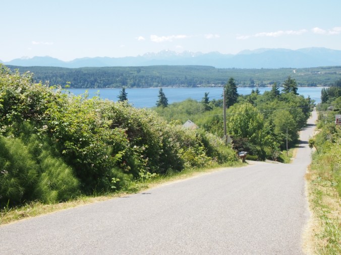 The view from Shine Road