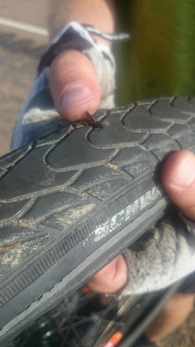 wp-1436928834362 image